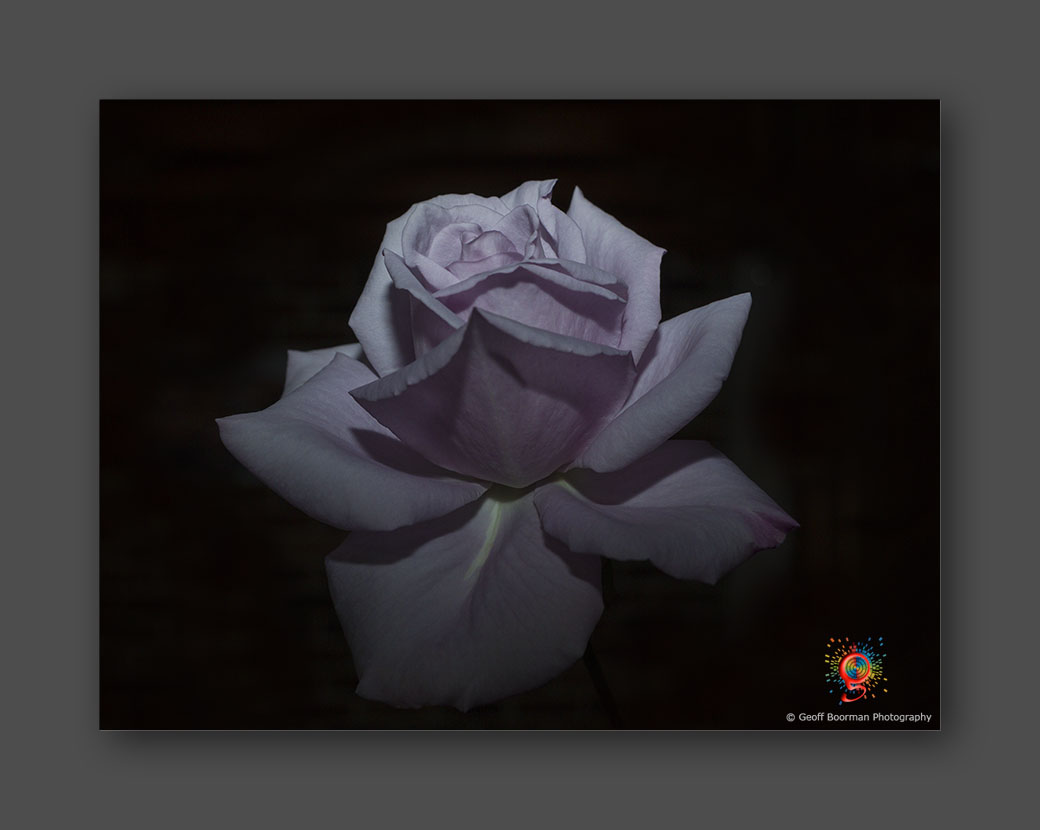 Wombolly Metal - Rose