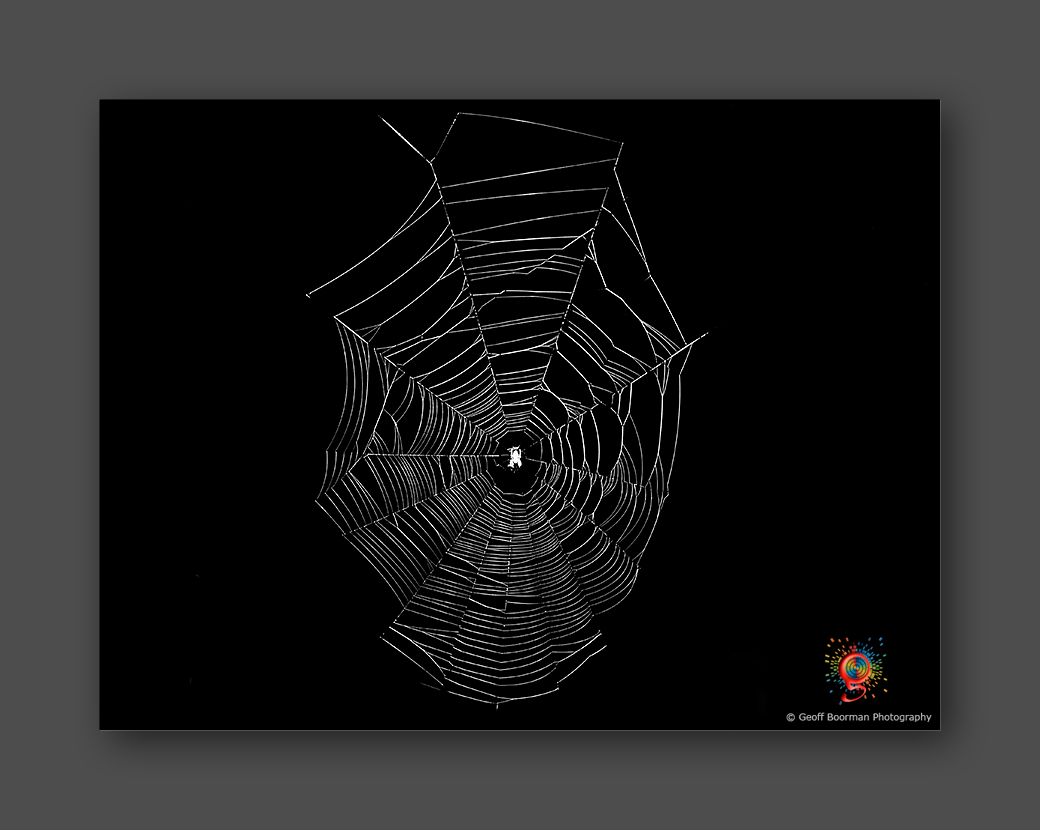 Wombolly Metal - Spider's Web